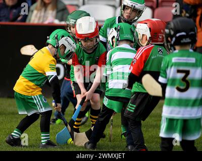 Grundschulkinder der Clubs Doire Trasna und Faughanvale GAA spielen Hurling im Celtic Park, Derry. Foto: George Sweeney/Alamy Stockfoto
