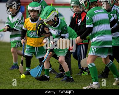 Grundschulkinder der Clubs Doire Trasna und Faughanvale GAA spielen Hurling im Celtic Park, Derry. Foto: George Sweeney/Alamy Stockfoto