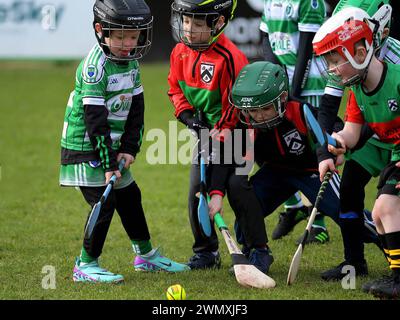 Grundschulkinder der Clubs Doire Trasna und Faughanvale GAA spielen Hurling im Celtic Park, Derry. Foto: George Sweeney/Alamy Stockfoto