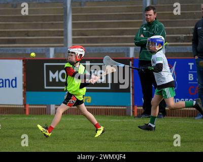Grundschulkinder der Clubs Doire Trasna und Faughanvale GAA spielen Hurling im Celtic Park, Derry. Foto: George Sweeney/Alamy Stockfoto