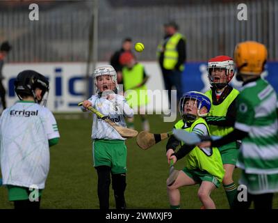 Grundschulkinder der Clubs Doire Trasna und Faughanvale GAA spielen Hurling im Celtic Park, Derry. Foto: George Sweeney/Alamy Stockfoto