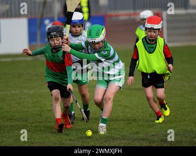Grundschulkinder der Clubs Doire Trasna und Faughanvale GAA spielen Hurling im Celtic Park, Derry. Foto: George Sweeney/Alamy Stockfoto