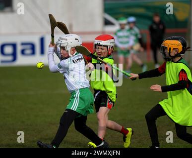 Grundschulkinder der Clubs Doire Trasna und Faughanvale GAA spielen Hurling im Celtic Park, Derry. Foto: George Sweeney/Alamy Stockfoto
