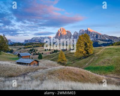 Herbst auf der Seiser Alm, Almhütten mit Plattkofel und Langkofel, Sonnenuntergang, Dolomiten, Südtirol Stockfoto