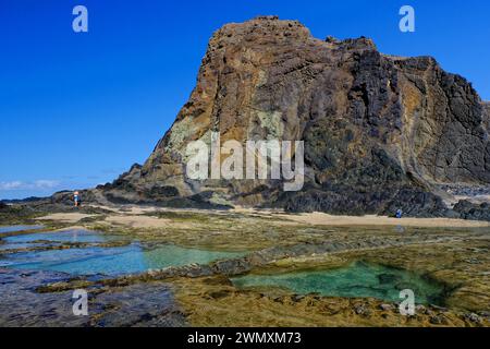 Felsenbecken, Felsen, Nordküste, Porto das Salemas, Porto Santo, Insel Madeira Stockfoto