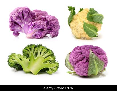 Sammlung von Romanesco Brokkoli und Blumenkohl isoliert auf weißem Hintergrund Stockfoto