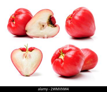 Rose-Äpfel oder Chomphu auf weißem Hintergrund Stockfoto