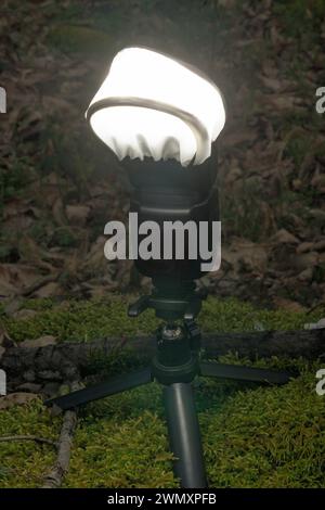 Handblitz auf Stativ mit eingeschaltetem Diffusor, Aufnahme mitten in der Natur Stockfoto