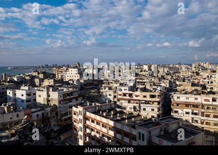 Syrien, Lattakia, Lattakia, Landschaft Stockfoto