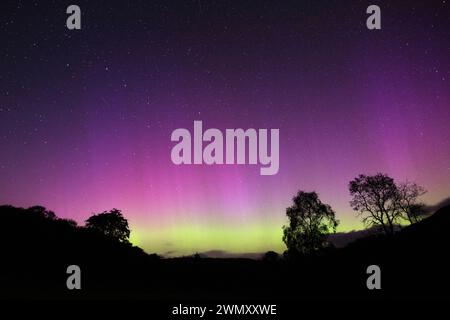 Northern Lights, Aurora Borealis, Fleet Valley National Scenic Area, in der Nähe des Gatehouse of Fleet, Dumfries & Galloway, Schottland Stockfoto