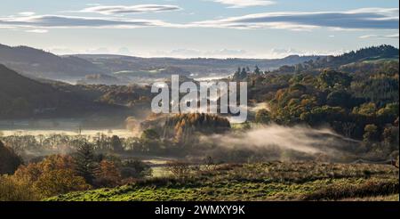 Nebliger Herbstmorgen im Fleet Valley National Scenic Area, in der Nähe des Gatehouse of Fleet, Dumfries & Galloway, Schottland Stockfoto