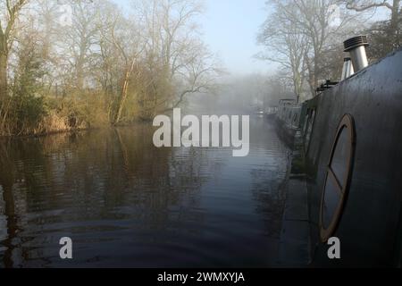 Schmale Boote vertäuten bei der Bank Newton am Leeds-Liverpool-Kanal in der Nähe von Gargrave, North Yorkshire. Stockfoto