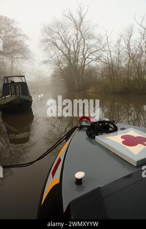 Schmale Boote vertäuten bei der Bank Newton am Leeds-Liverpool-Kanal in der Nähe von Gargrave, North Yorkshire. Stockfoto