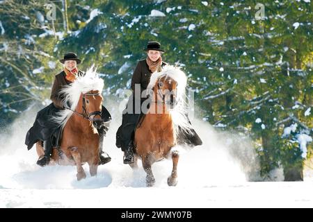 Julia und Theresa Lindner auf den Haflinger Hengsten Narius & Nakuri galoppieren im Schnee. Deutschland Stockfoto