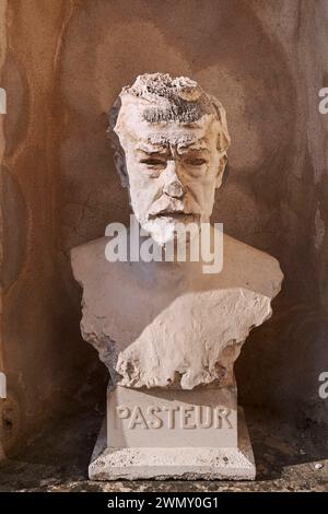 Frankreich, Jura, Dole, Louis Pasteur Geburtsort, Museumsterrasse, Pasteur-Büste Stockfoto