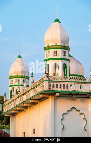 Vietnam, Mekong Delta, eine Provinz von Giang, Umgebung von Chau Doc, Chau Phong, Jamiul Azhar Moschee Stockfoto