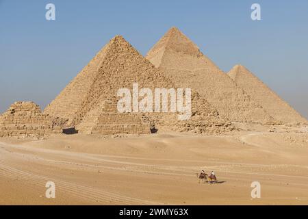 Ägypten, Kairo, Guiza, Memphis und seine Nekropole, die Pyramidenfelder von Gizeh bis Dahshur, die von der UNESCO zum Weltkulturerbe erklärt wurden, Kamele vor den Pyramiden Stockfoto