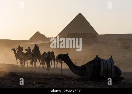 Ägypten, Kairo, Guiza, Memphis und seine Nekropole, die Pyramidenfelder von Gizeh bis Dahshur, die von der UNESCO zum Weltkulturerbe erklärt wurden, Kamele vor der Menkaure-Pyramide Stockfoto