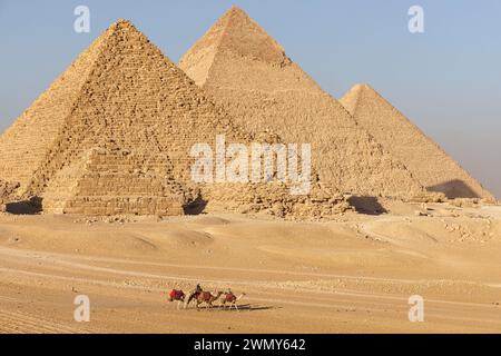 Ägypten, Kairo, Guiza, Memphis und seine Nekropole, die Pyramidenfelder von Gizeh bis Dahshur, die von der UNESCO zum Weltkulturerbe erklärt wurden, Kamele vor den Pyramiden Stockfoto