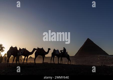 Ägypten, Kairo, Guiza, Memphis und seine Nekropole, die Pyramidenfelder von Gizeh bis Dahshur, die von der UNESCO zum Weltkulturerbe erklärt wurden, Kamele vor der Chephrenpyramide Stockfoto
