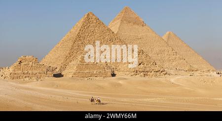 Ägypten, Kairo, Guiza, Memphis und seine Nekropole, die Pyramidenfelder von Gizeh bis Dahshur, die von der UNESCO zum Weltkulturerbe erklärt wurden, Kamele vor den Pyramiden Stockfoto