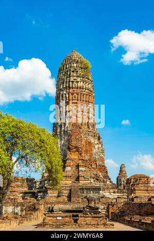 Thailand, Ayutthaya, von der UNESCO zum Weltkulturerbe erklärt, historischer Park, Wat Phra RAM Stockfoto