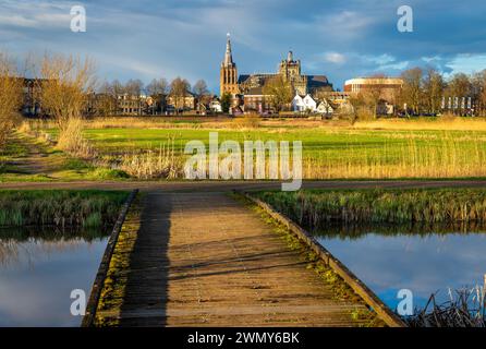 St. John's Cathedral in 's-Hertogenbosch vom Naturschutzgebiet Bossche Broek aus gesehen Stockfoto