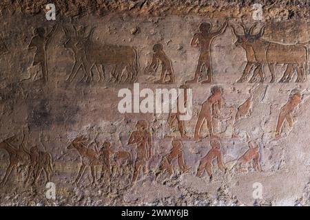Ägypten, Assuan, Adelsgräber, Sirenput II.-Grab, Mwkho und Sabni-Gräber, Schnitzereien von Werken auf den Feldern Stockfoto