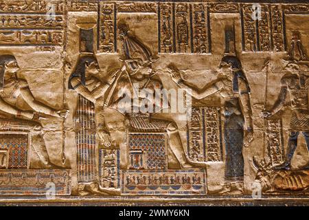 Ägypten, Qena, Dendera, pharaonische Tempel in Oberägypten aus ptolemäischer und römischer Zeit, von der UNESCO zum Weltkulturerbe erklärt, Hathor-Tempel, niedriges Relief Stockfoto