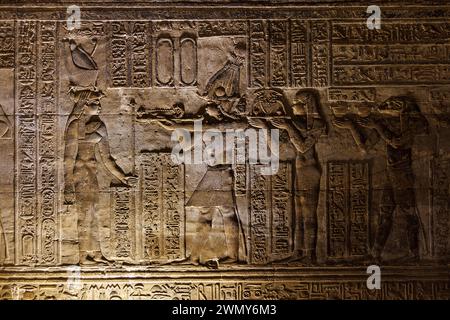 Ägypten, Qena, Dendera, pharaonische Tempel in Oberägypten aus ptolemäischer und römischer Zeit, von der UNESCO zum Weltkulturerbe erklärt, Hathor-Tempel, niedriges Relief Stockfoto