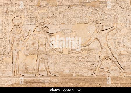 Ägypten, Esna, Pharaonentempel in Oberägypten aus ptolemäischer und römischer Zeit, die von der UNESCO zum Weltkulturerbe erklärt wurden, Khnum-Tempel Stockfoto