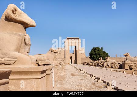 Ägypten, Luxor, das antike Theben mit seiner Nekropole, die von der UNESCO zum Weltkulturerbe erklärt wurde, Karnak-Tempel, eine Sphinxallee mit Widderkopf vor Ptolemäus III. Tür Stockfoto