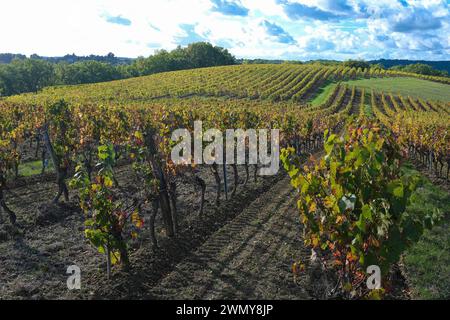 Frankreich, Tarn, Gaillac, Landschaft der Gaillac Weinberge Stockfoto