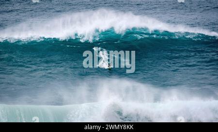 Portugal, Estremadura, Nazaré, Big Wave Challenge, Surfwettbewerb auf den riesigen Wellen von Nazaré Stockfoto