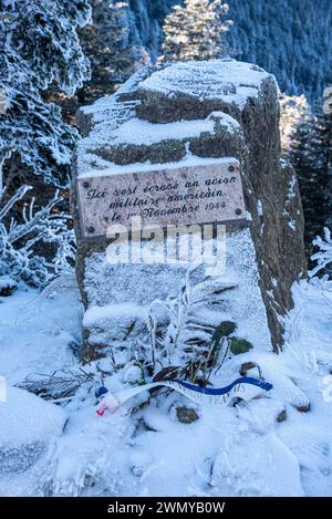 Frankreich, Loire (42), Pilat-Massiv, regionaler Naturpark Pilat, La Jasserie, Wanderung Crêt de la Chèvre, Gedenkstele während einer medizinischen Evakuierung zwischen Luxeuil und Istres am 1. November 1944; die fünf Besatzungsmitglieder eines amerikanischen Douglas C-47 Skytrain und 15 verwundete alliierte und deutsche Soldaten starben bei einem Unfall zwischen der Crêt de la Perdrix und der Crêt de Botte Stockfoto