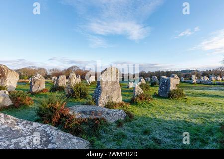 Frankreich, Morbihan, Erdeven, die Linien von Kerzerho, die wichtigste bretonische Megalithstätte nach Carnac, bestehend aus 190 Menhirs, erbaut zwischen dem 5. Und 3. Jahrtausend v. Chr., diese Steinfeldungen könnten ein riesiger Kalender sein, der die wichtigen Zeiträume der Landwirtschaft festlegte und eine Möglichkeit bildete, die Zeit zu bestimmen, um sich selbst ernähren zu können, da die Landwirtschaft während des Neolithikums die wichtigste Nahrungsquelle war. Stockfoto