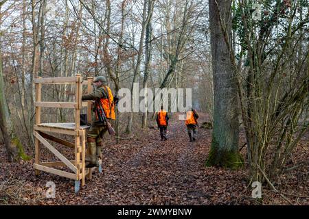 Frankreich Elsass Rheinwald, Jagd auf Großwild, ein Jäger schließt sich seinem Jagdposten an (ein kleiner Wachturm) Stockfoto