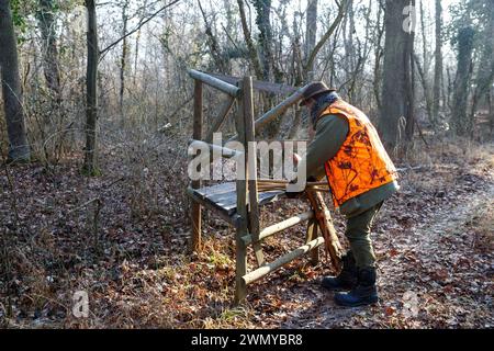 Frankreich Elsass Rheinwald, Jagd auf Großwild, ein Jäger schließt sich seinem Jagdposten an (ein kleiner Wachturm) Stockfoto