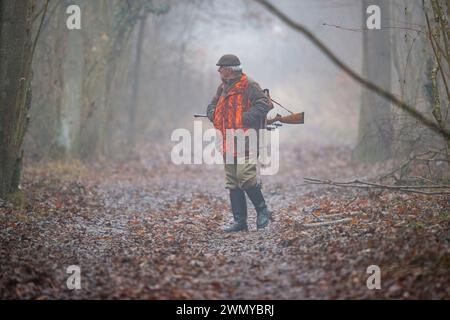 Frankreich Elsass Rheinwald, Jagd auf Großwild, ein Jäger schließt sich seinem Jagdposten an (ein kleiner Wachturm) Stockfoto