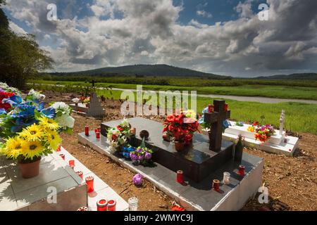 Frankreich, Französisch-Guayana, Giftentnahmemission des Venometech-Labors, Kaw Marshes, Kaw Dorffriedhof mit dem Moor im Hintergrund Stockfoto