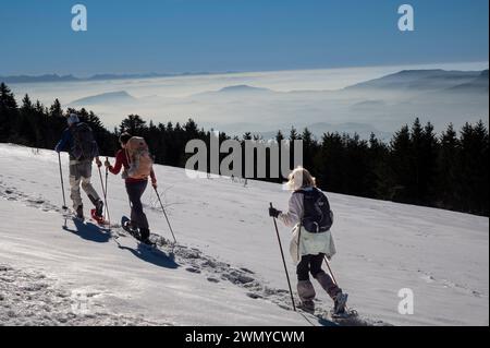 Frankreich, Ain, Jura Massif, Seyssel, Schneeschuhwandern am Col de la Biche in Surlyand Stockfoto