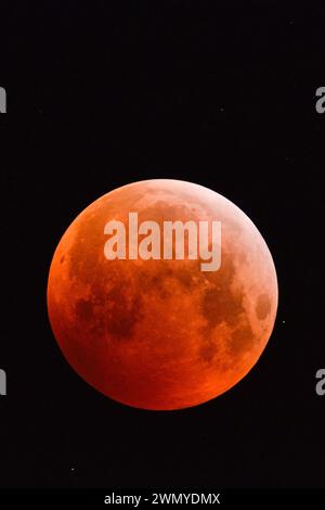 Sonnenfinsternis des Supermondes, Mondfinsternis, roter Supermond, Blutmond, roter oranger Vollmond mit funkelnden Sternen, 21. Januar 2019, Deutschland. Stockfoto
