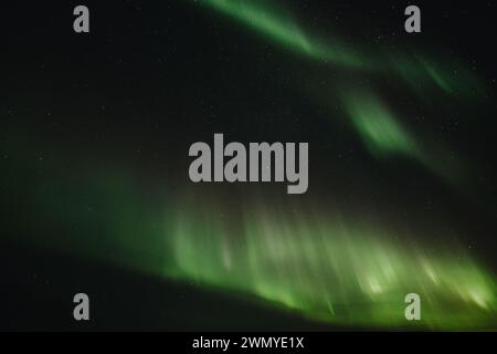 Eine ätherische Darstellung der grünen Aurora Borealis beleuchtet den Nachthimmel über Island und schafft ein faszinierendes Spektakel. Stockfoto