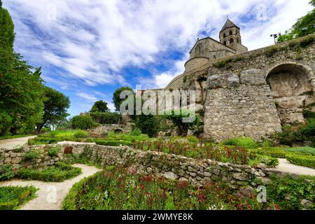 Frankreich, Drôme (26), Drôme provenzale, La Garde Adhémar, bezeichnet als die schönsten Dörfer Frankreichs, der Jardin des Herbes, der 2006 als bemerkenswerter Garten bezeichnet wurde, vereint etwa 200 Arten von Heilpflanzen Stockfoto