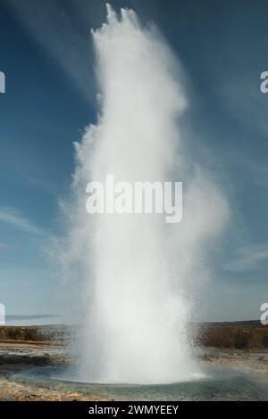 Der Strokkur Geysir in Island bricht mit Gewalt aus und schießt eine Spalte heißes Wasser in den klaren blauen Himmel, ein spektakuläres Naturphänomen. Stockfoto