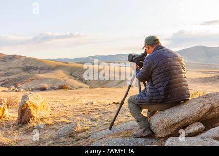 Mongolei, Hustai-Nationalpark, wo Przewalskis Pferd (Equus caballus przewalskii oder Equus ferus przewalskii) ab 1993 im Khustain Nuruu-Nationalpark freigelassen wurde Stockfoto