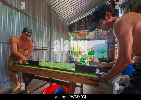 Vietnam, Mekong Delta, Cai Be, handwerkliche Erdnuss-Süßigkeitenfabrik Stockfoto