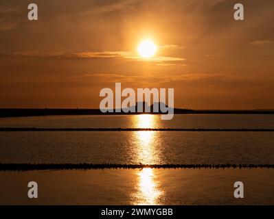 Westerwarft, Warft bei Sonnenuntergang auf Hallig Hooge, Nordfriesland, Schleswig-Holstein, Deutschland Stockfoto