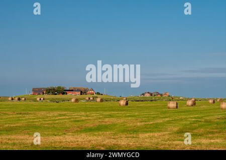 Ockelützwarft und Mitteltritt Warft auf Hallig Hooge, Nordfriesland, Schleswig-Holstein Stockfoto