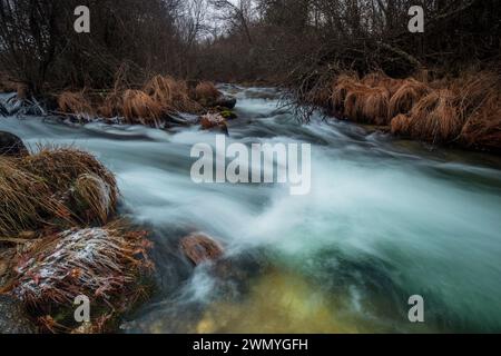 Eine ruhige Winterlandschaft mit einem fließenden Bach mit mattierten Pflanzen am Ufer, die im Guadarrama-Nationalpark erfasst werden. Stockfoto